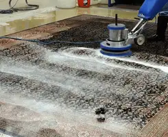 Professional rug cleaning with a rotary floor machine and shampoo foam, deep-cleaning an area rug, in Albany, NY.