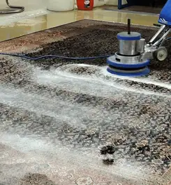 Professional rug cleaning with a rotary floor machine and shampoo foam, deep-cleaning an area rug Albany, NY.
